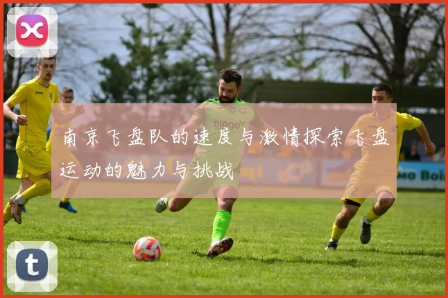南京飞盘队的速度与激情探索飞盘运动的魅力与挑战