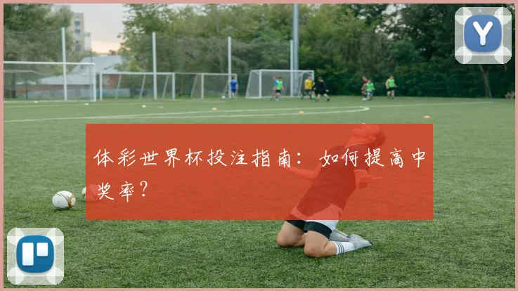 体彩世界杯投注指南：如何提高中奖率？