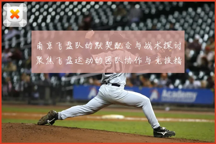 南京飞盘队的默契配合与战术探讨聚焦飞盘运动的团队协作与竞技精神