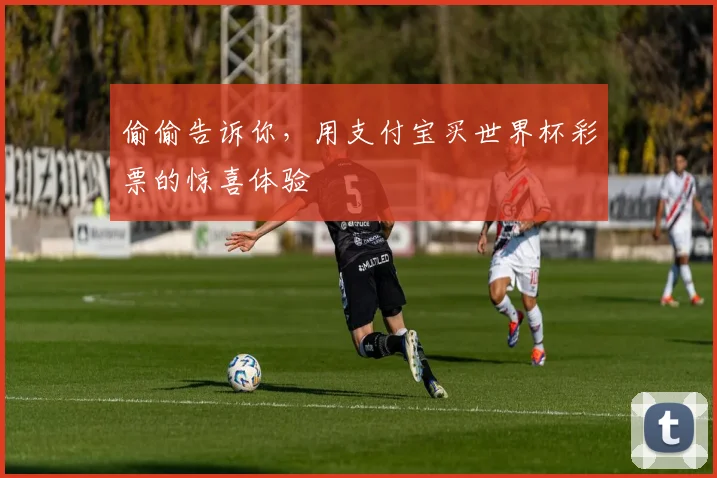 偷偷告诉你，用支付宝买世界杯彩票的惊喜体验