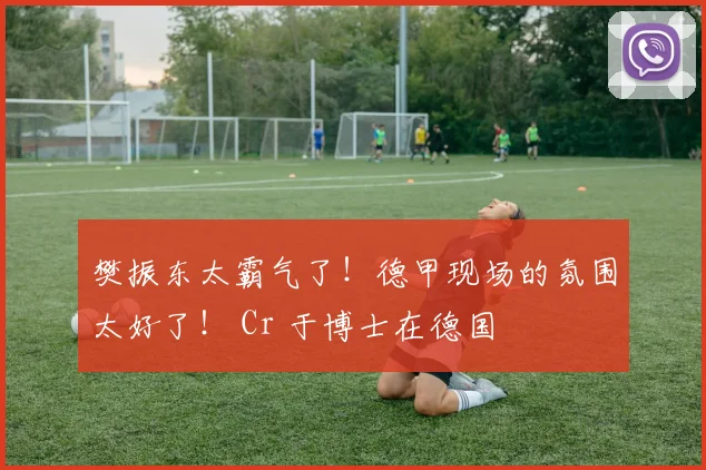 樊振东太霸气了！德甲现场的氛围太好了！ Cr 于博士在德国