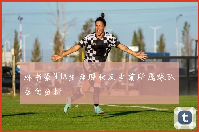 林书豪NBA生涯现状及当前所属球队去向分析