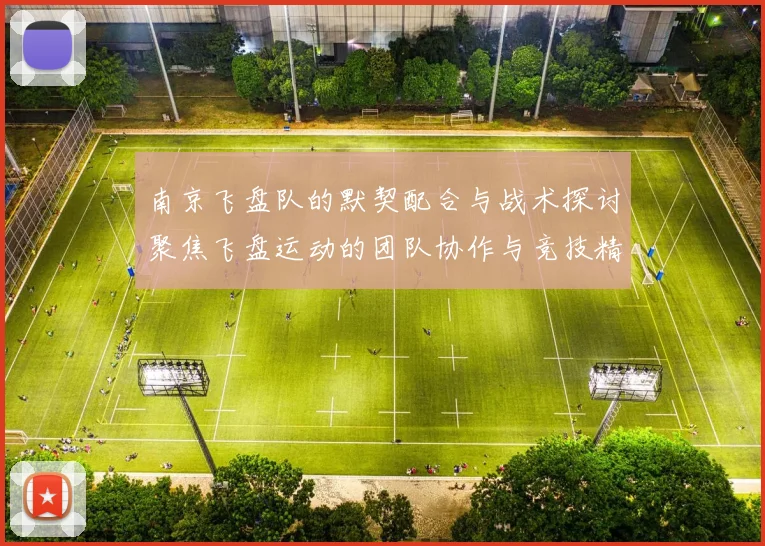 南京飞盘队的默契配合与战术探讨聚焦飞盘运动的团队协作与竞技精神
