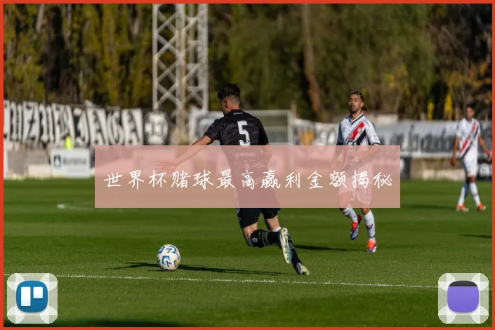 世界杯赌球最高赢利金额揭秘