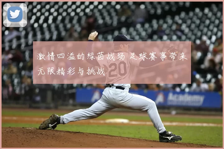 激情四溢的绿茵战场 足球赛事带来无限精彩与挑战