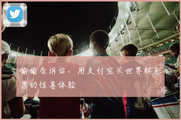 偷偷告诉你，用支付宝买世界杯彩票的惊喜体验