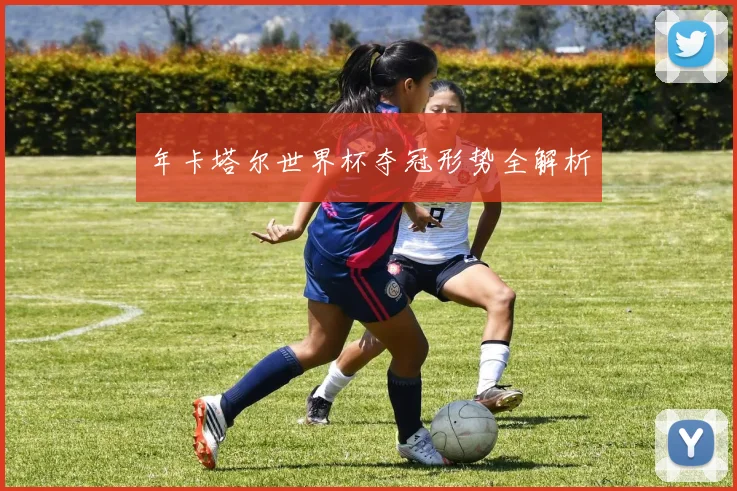年卡塔尔世界杯夺冠形势全解析