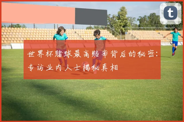 世界杯赌球最高赔率背后的秘密：专访业内人士揭秘真相