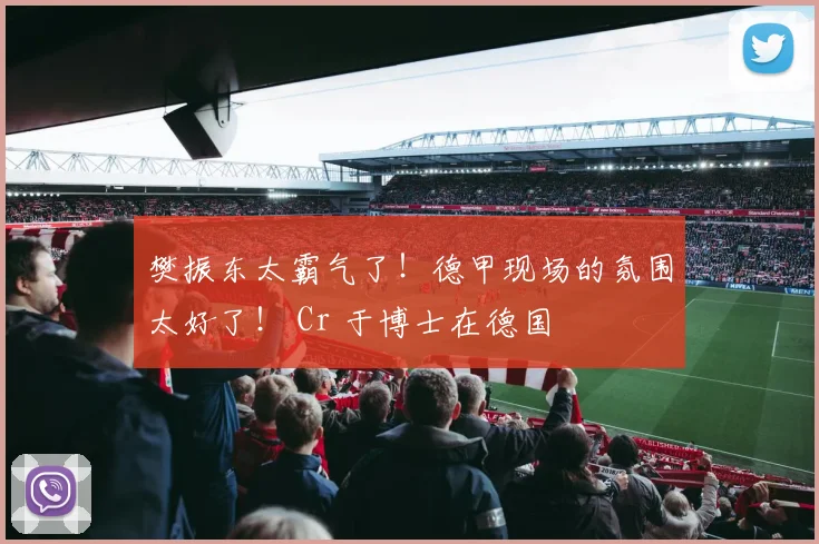 樊振东太霸气了！德甲现场的氛围太好了！ Cr 于博士在德国