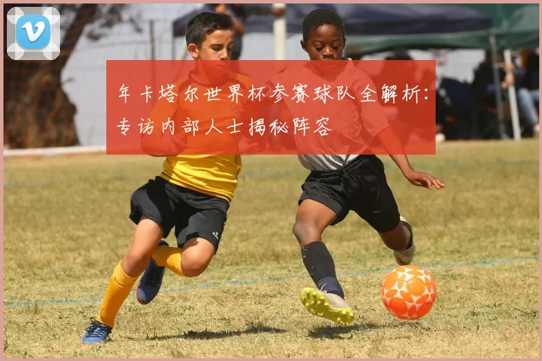 年卡塔尔世界杯参赛球队全解析：专访内部人士揭秘阵容