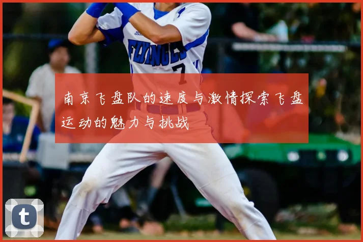 南京飞盘队的速度与激情探索飞盘运动的魅力与挑战