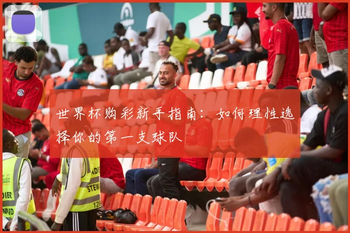 世界杯购彩新手指南：如何理性选择你的第一支球队