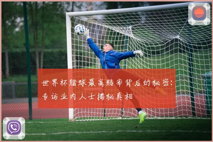 世界杯赌球最高赔率背后的秘密：专访业内人士揭秘真相