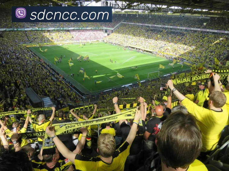 买球官网APP 高清赛事图